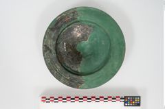 Foto von Bronzephalere (NHMW-PRAE-025544a)